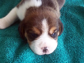 Martina G1 Front 2 Weeks